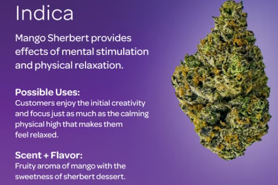 Photograph of Product: (00701) Mango Sherb 3.5G