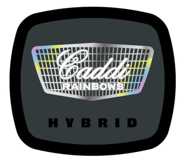 Photograph of product: 93 BOYZ Caddi Rainbows 14g