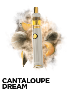 Photograph of product: Dime Industries - Cantaloupe Dream - Disposable Cart 1G Blended Oui'd