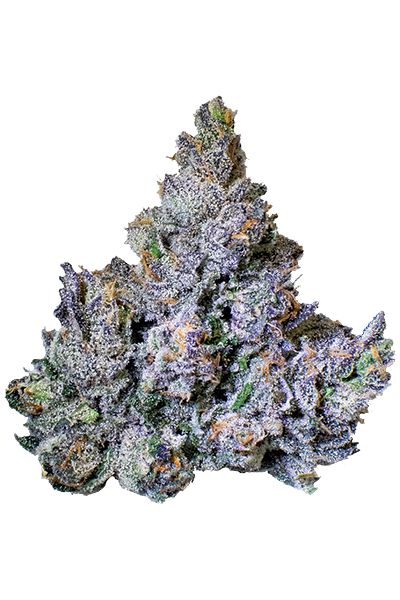 Photograph of product: Fractal | Z33 | Bulk Flower | REC - 28g