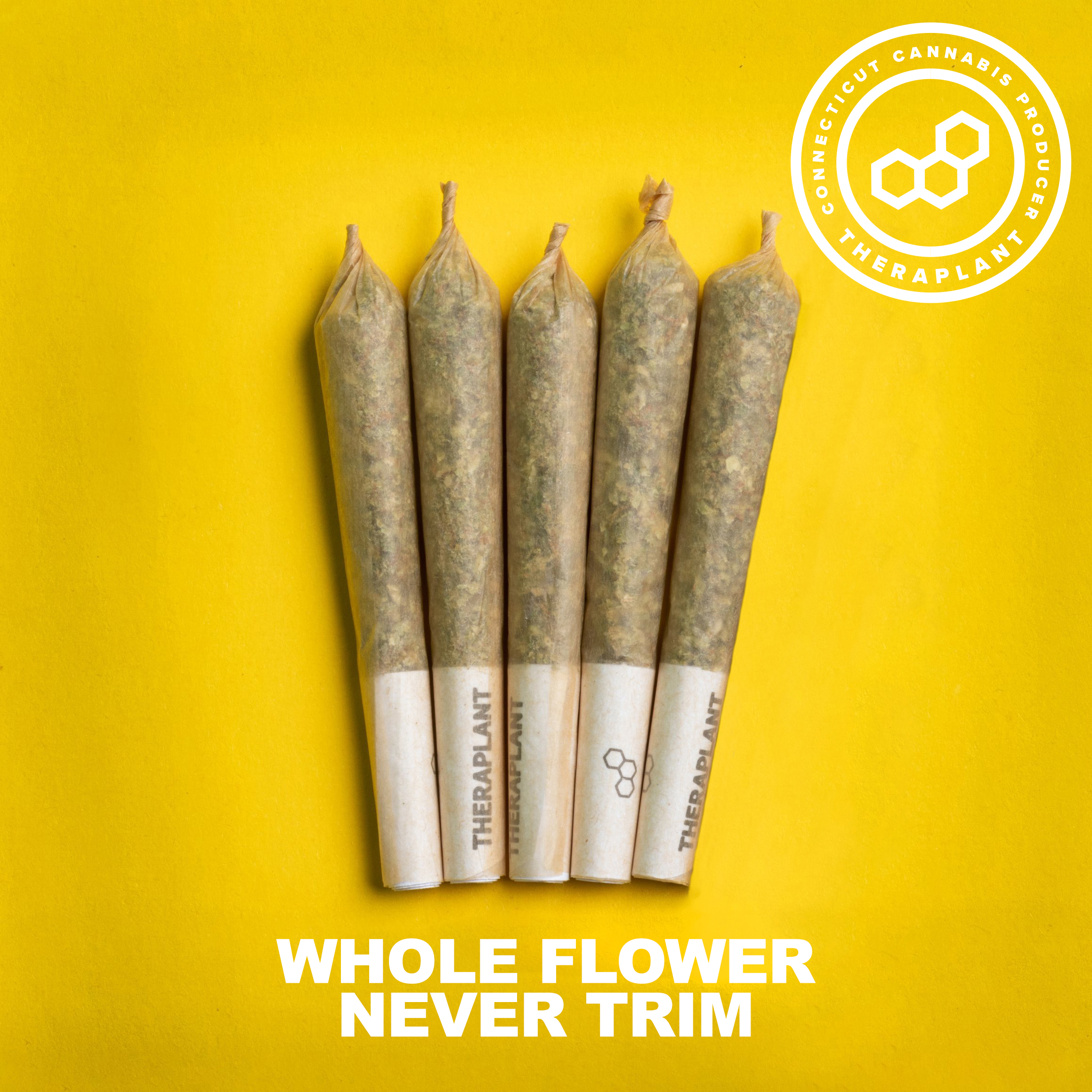 Photograph of product: SBC Pre Roll Minis 5 Pack T25.15 (4-04867)