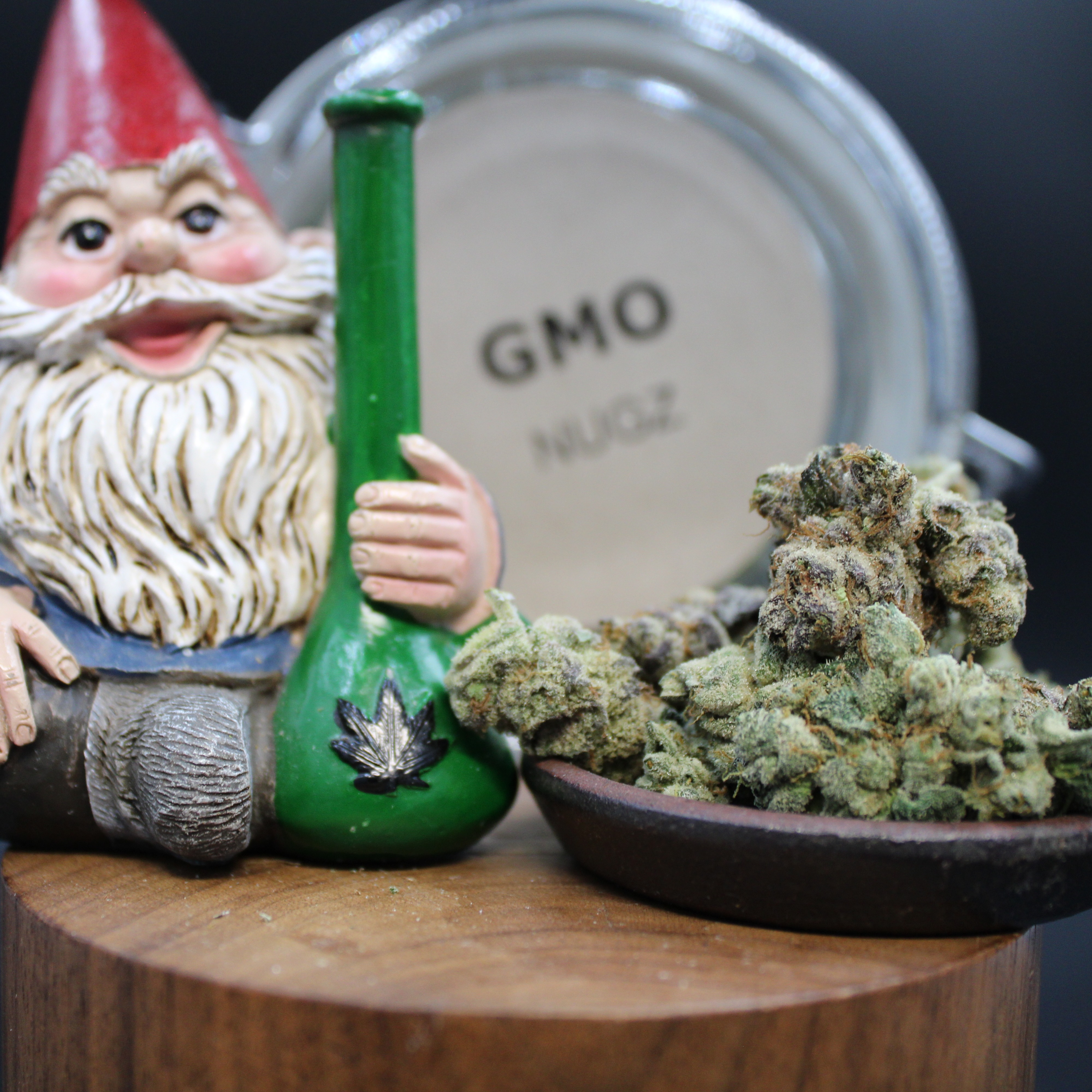 Photograph of product: GMO