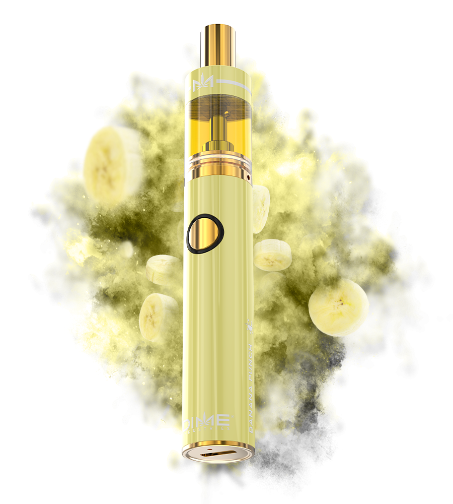 Photograph of product: Dime LR AIO Cartridge Banana Punch 2g (Hybrid)