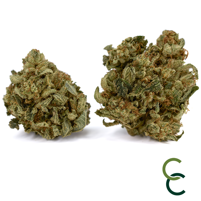 Photograph of product: Forest Queen - 3.5g