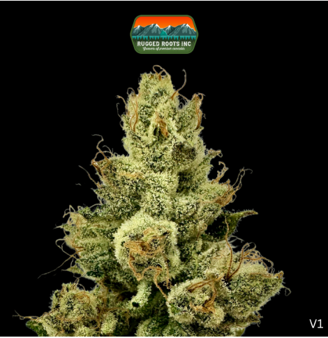 Photograph of product: Rugged Roots Ray K - 3.5g