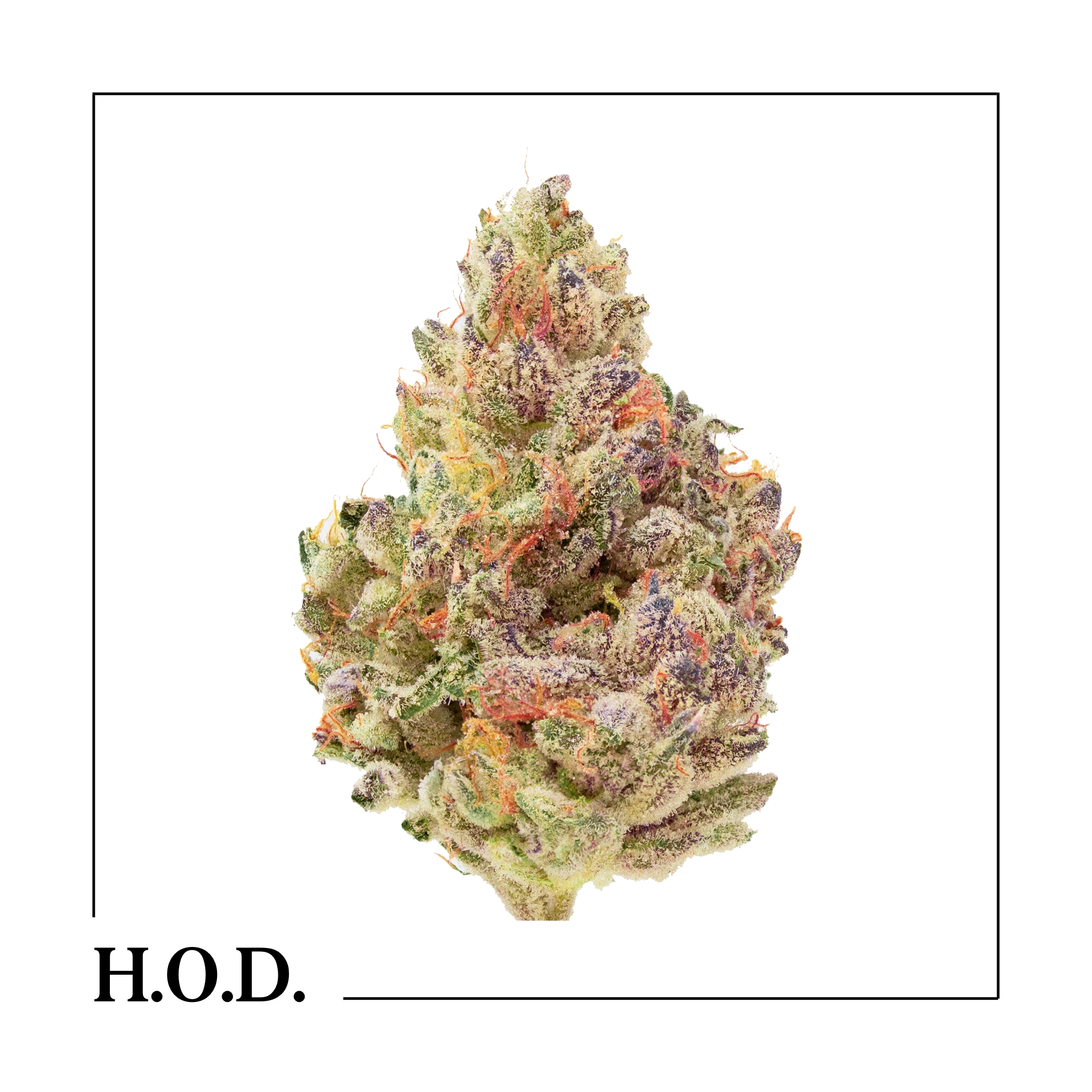 Photograph of product: Kush Mints 3.5g