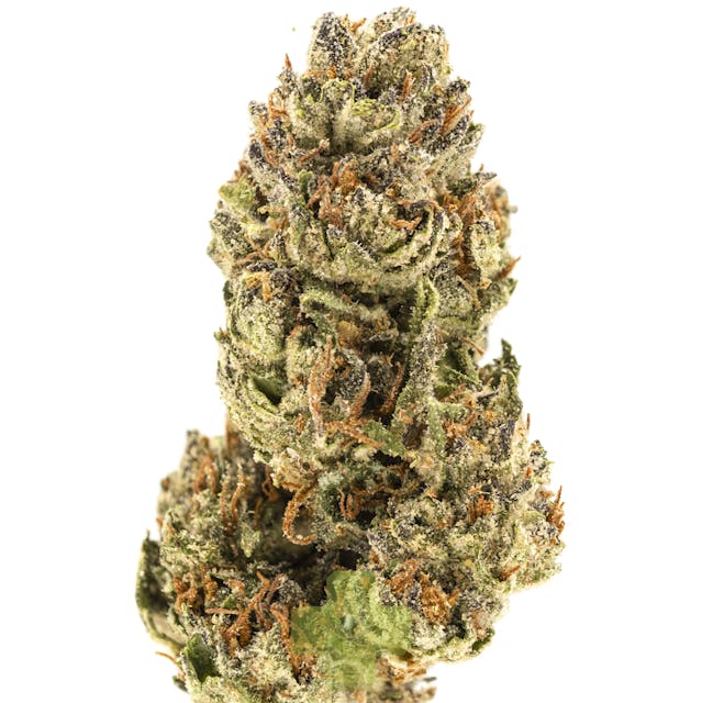 Photograph of product: Red Bullz, SG (1/2oz) - Half Oz.