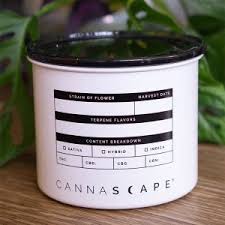 Photograph of product: Cannascape Classic Matte White Stash Jar