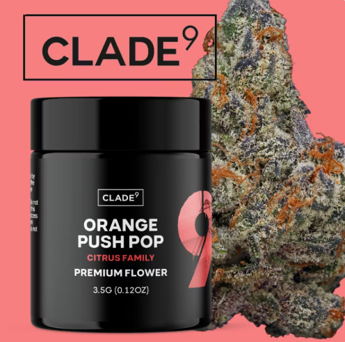 Photograph of product: Clade9 - Orange Push Pop 3.5G Bud