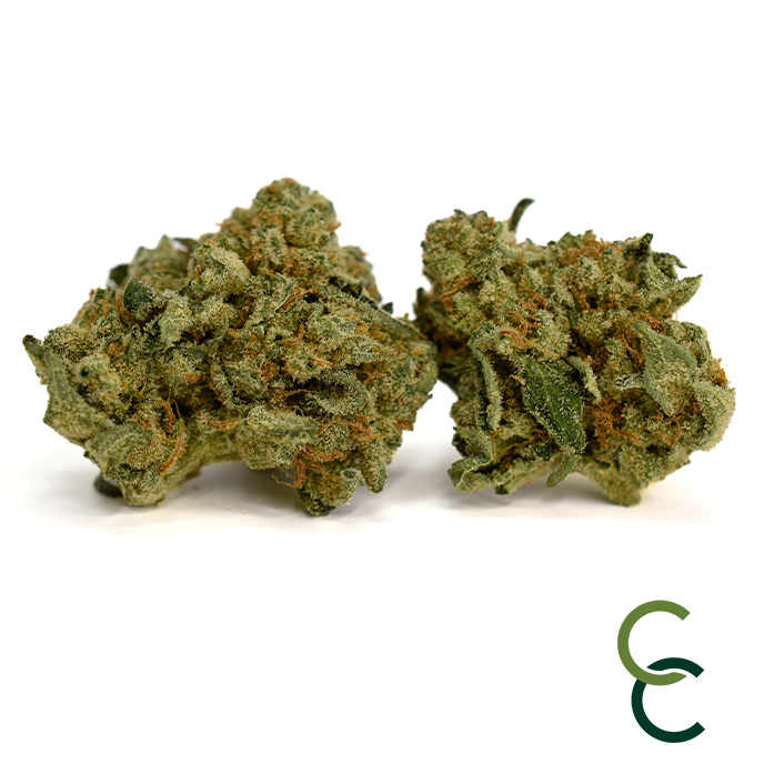 Photograph of product: Jack Herer - 14g
