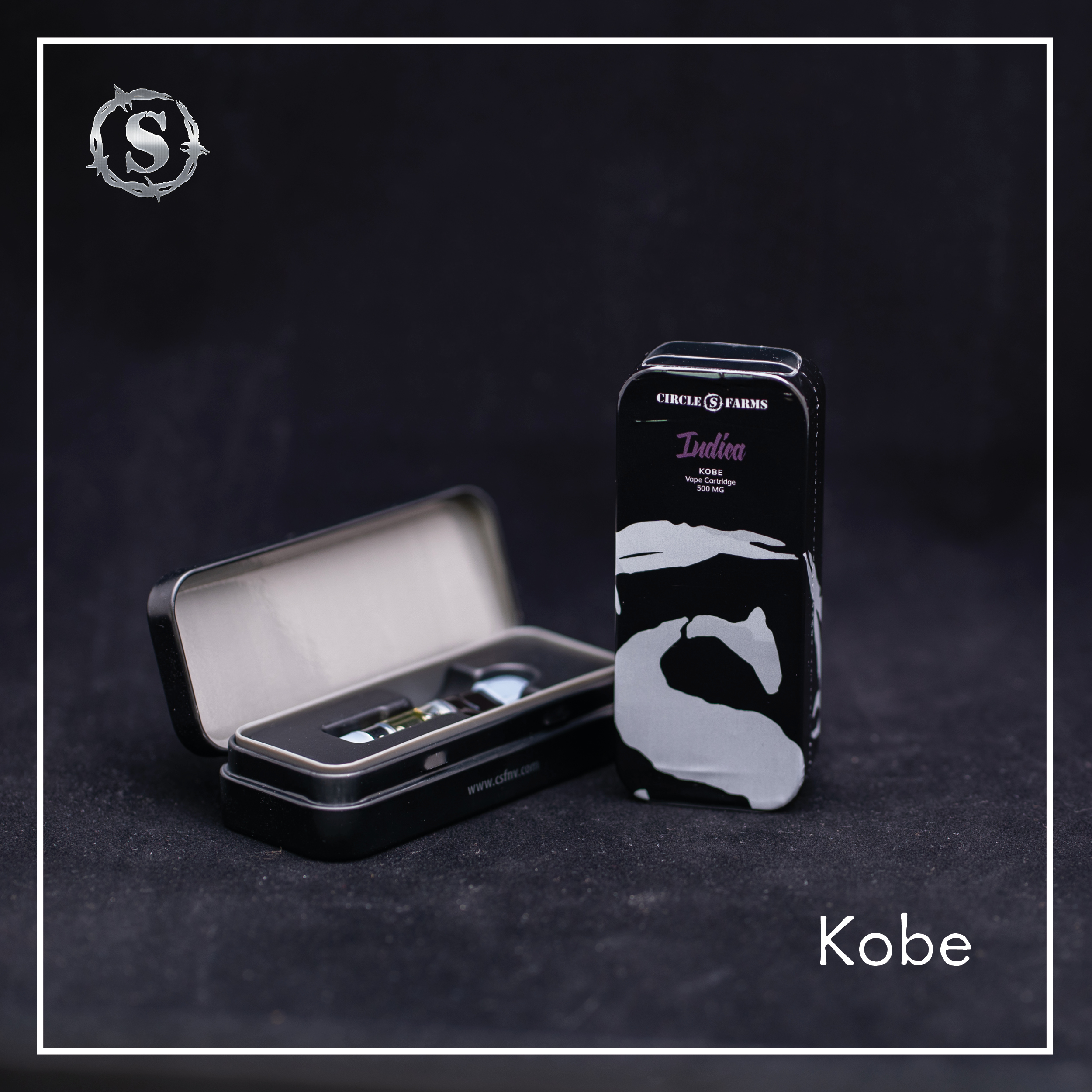 Photograph of product: CSF Cartridge Kobe