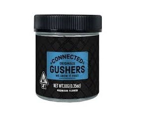 Photograph of product: Gushers | 10g