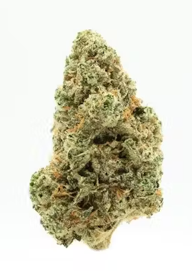 Photograph of product: AGL White Durban Whole Flower 26.09% (S) 14g - 00778