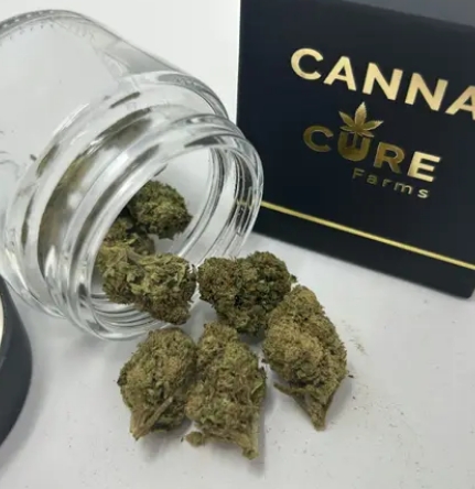 Photograph of product: Cannacure Farms Indoor Grown Flower | 3.5g | Cereal Milk