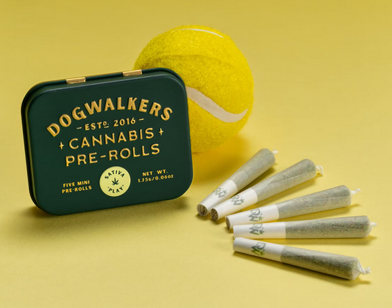 Photograph of product: Dogwalkers - Brownie Scout 1.75g 5pk Pre-Rolls