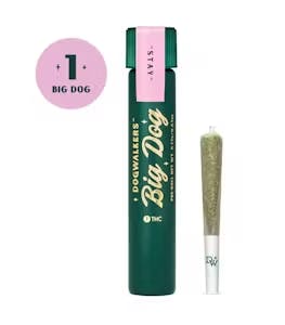 Photograph of product: Big Dog Brownie Scout - Single