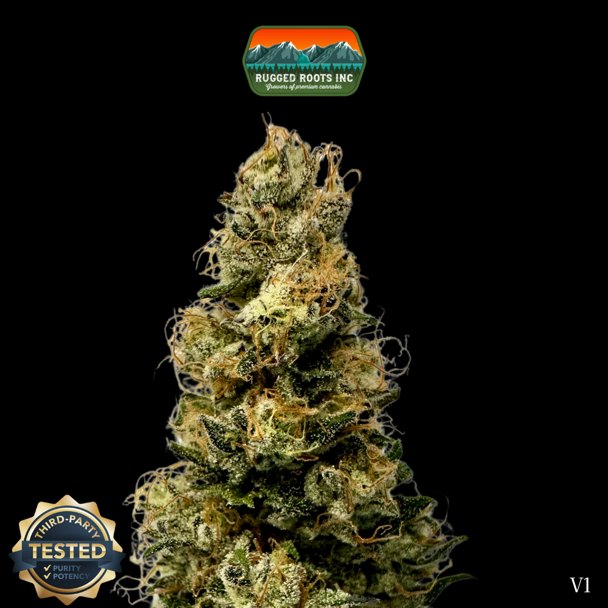 Photograph of product: Rugged Roots | Don Mega Dime Bag 1g