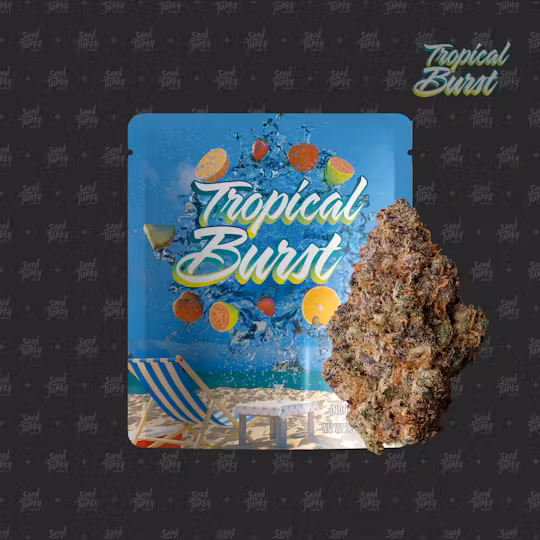 Photograph of product: SEED JUNKY | PREPACK TROPICAL BURST - 3.5g