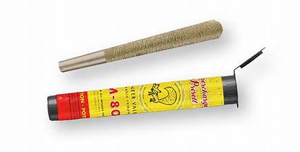 Photograph of product: Watermelon Splash | Infused Pre Roll | 1g