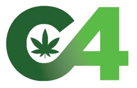 Photograph of product: THE GLOVE 28PK