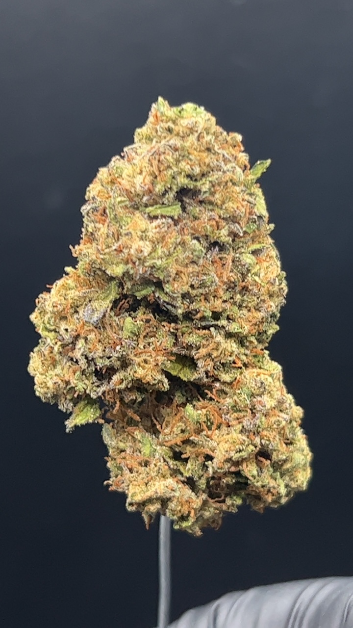 Photograph of product: Oreo Blizzard - 14g