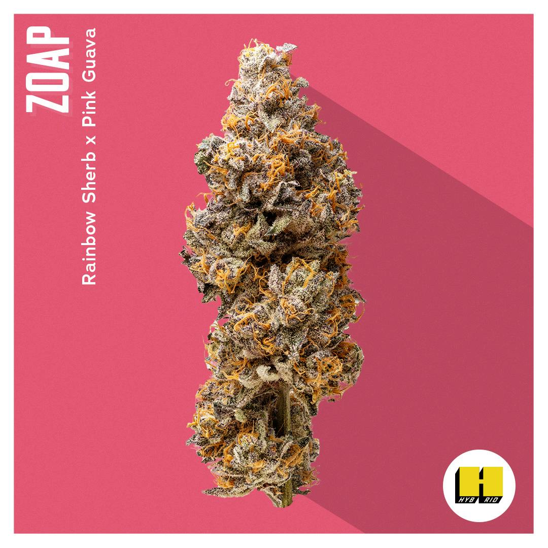Photograph of product: Zoap Flower | 3.5G | INSA