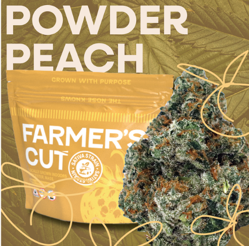 Photograph of product: Powder Peach Strain | Flower 3.5g - Visualize