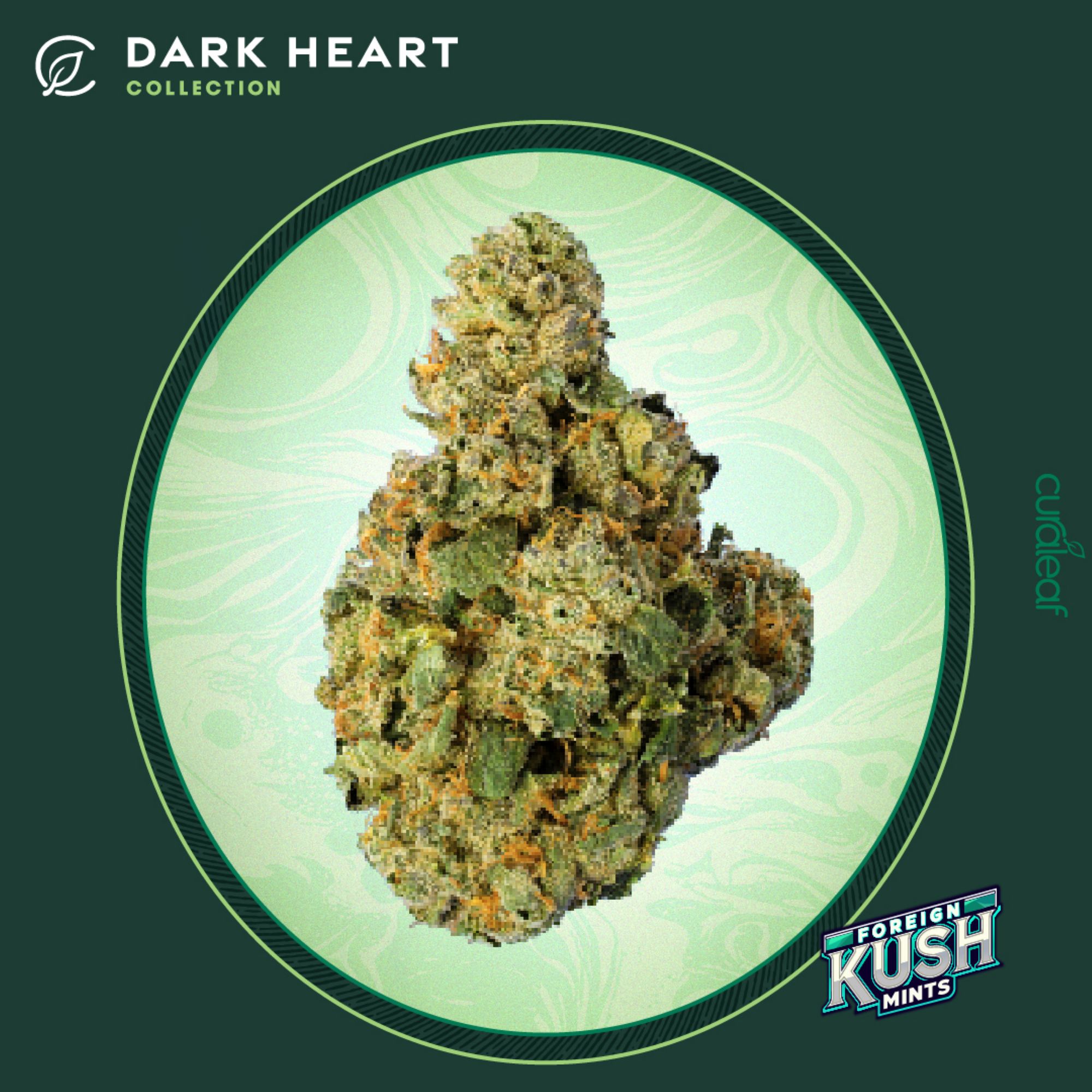 Photograph of product: Dark Heart Collection Whole Flower 3.5g Foreign Kush Mints (I) 00921