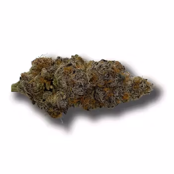Photograph of product: Mimosa x Mochi - 3.54g