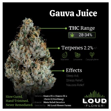 Photograph of product: Guava Juice | 3.5g | Michigan loud Flower Farms