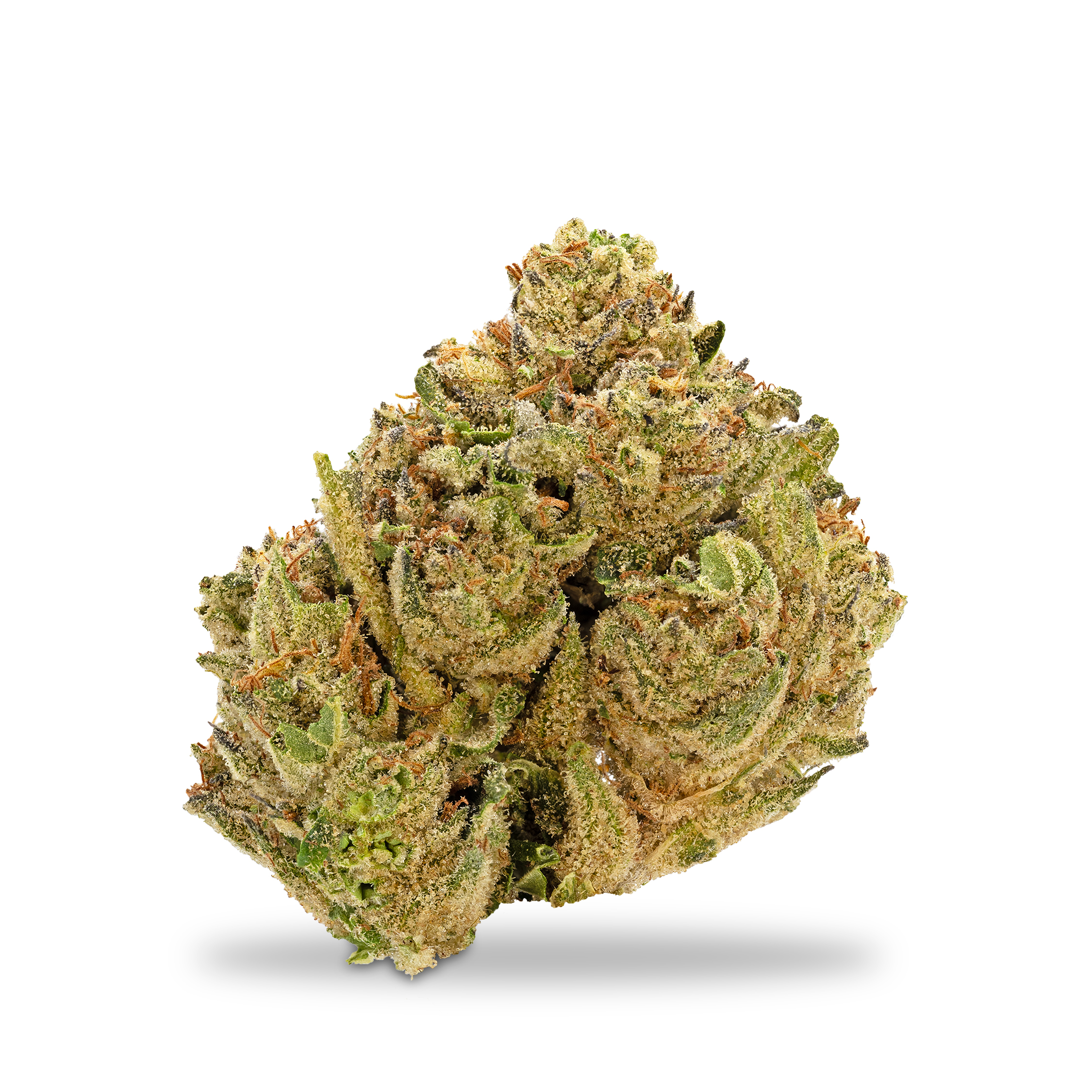 Photograph of product: Williams Wonder - Violet Fog - 1g