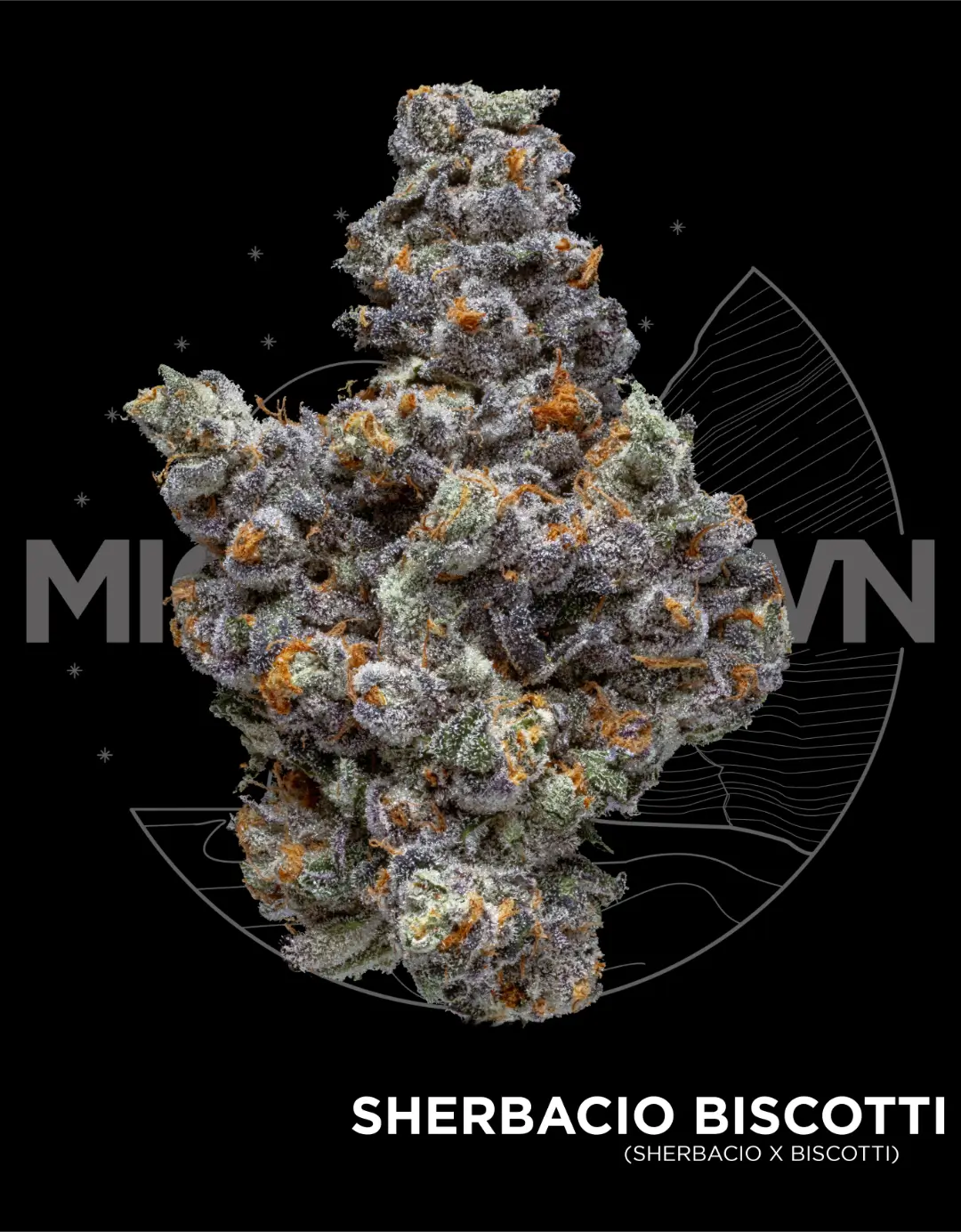 Photograph of product: Sherblato - 3.5g