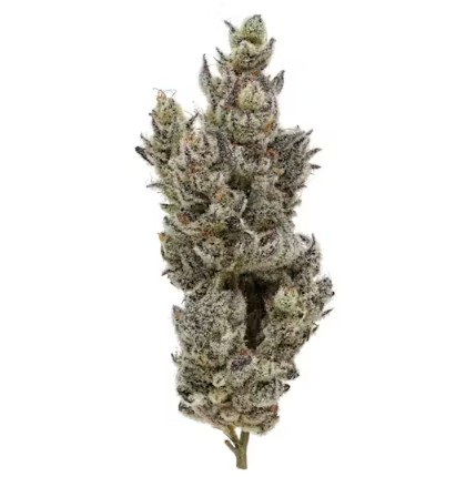 Photograph of product: FIG FARMS | HOLY COW! (H) | 3.5G