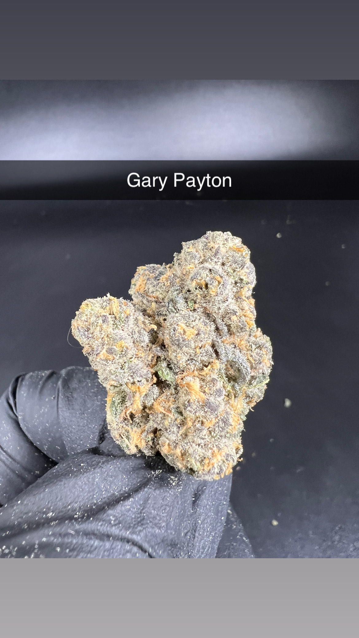 Photograph of product: Gary Payton - Flower - Hybrid - 28g