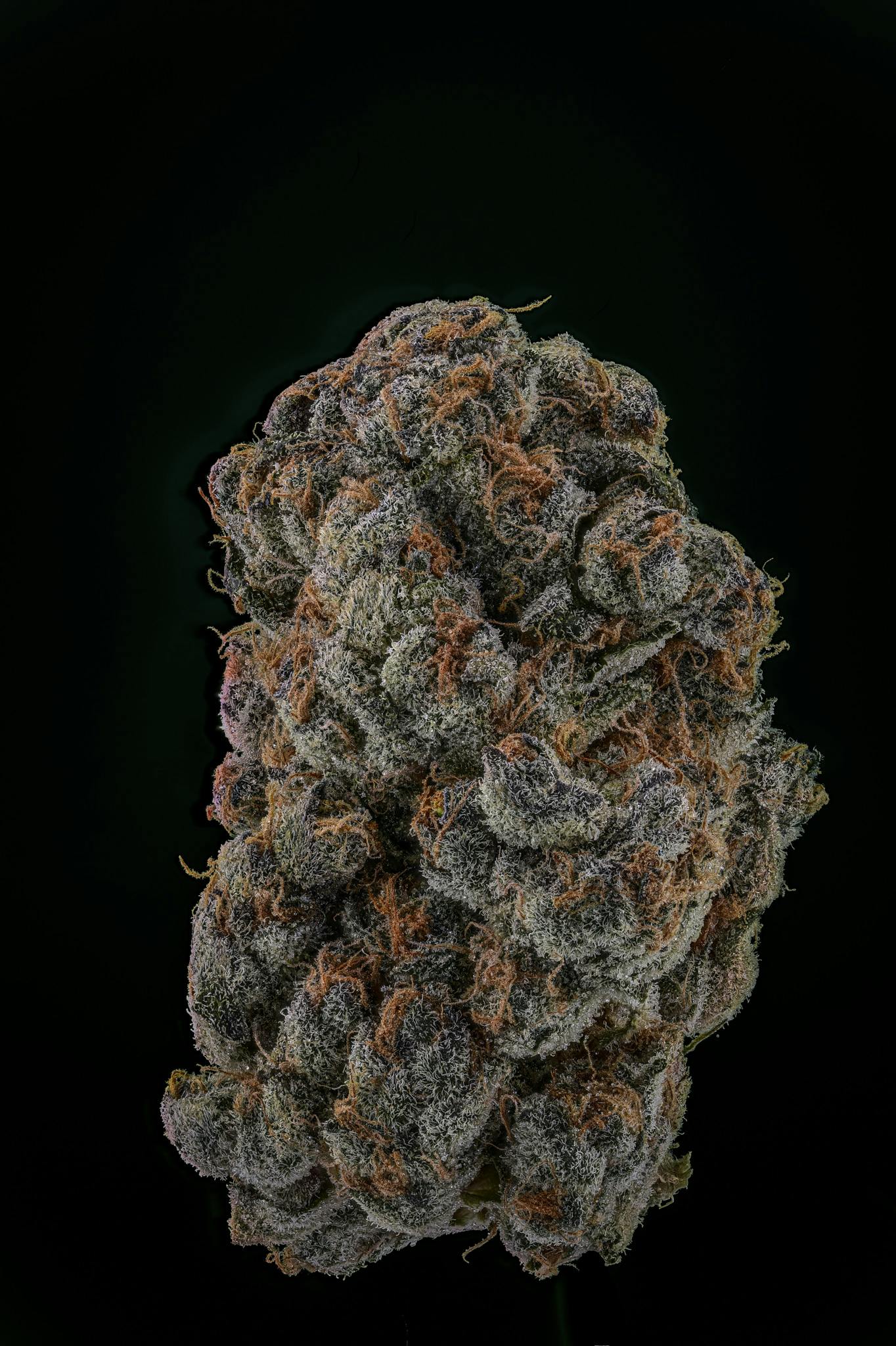 Photograph of product: Super Boof | Flower - 