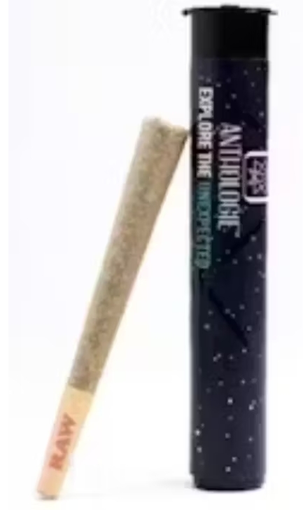 Photograph of product: Glitter Bomb | 1g