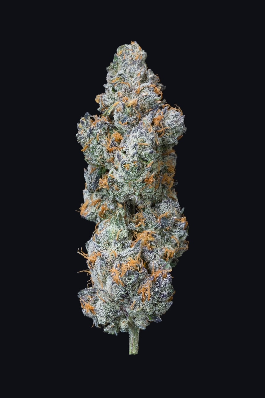 Photograph of product: Lions Breath | TAX INCLUDED - 28g