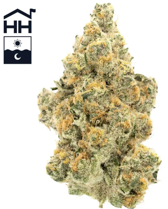 Photograph of product: Super Boof Strain | Flower 3.5g - Thrive