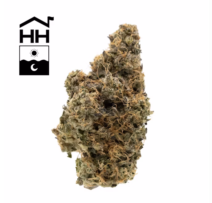 Photograph of product: Black Maple | GAS STATION - 28g