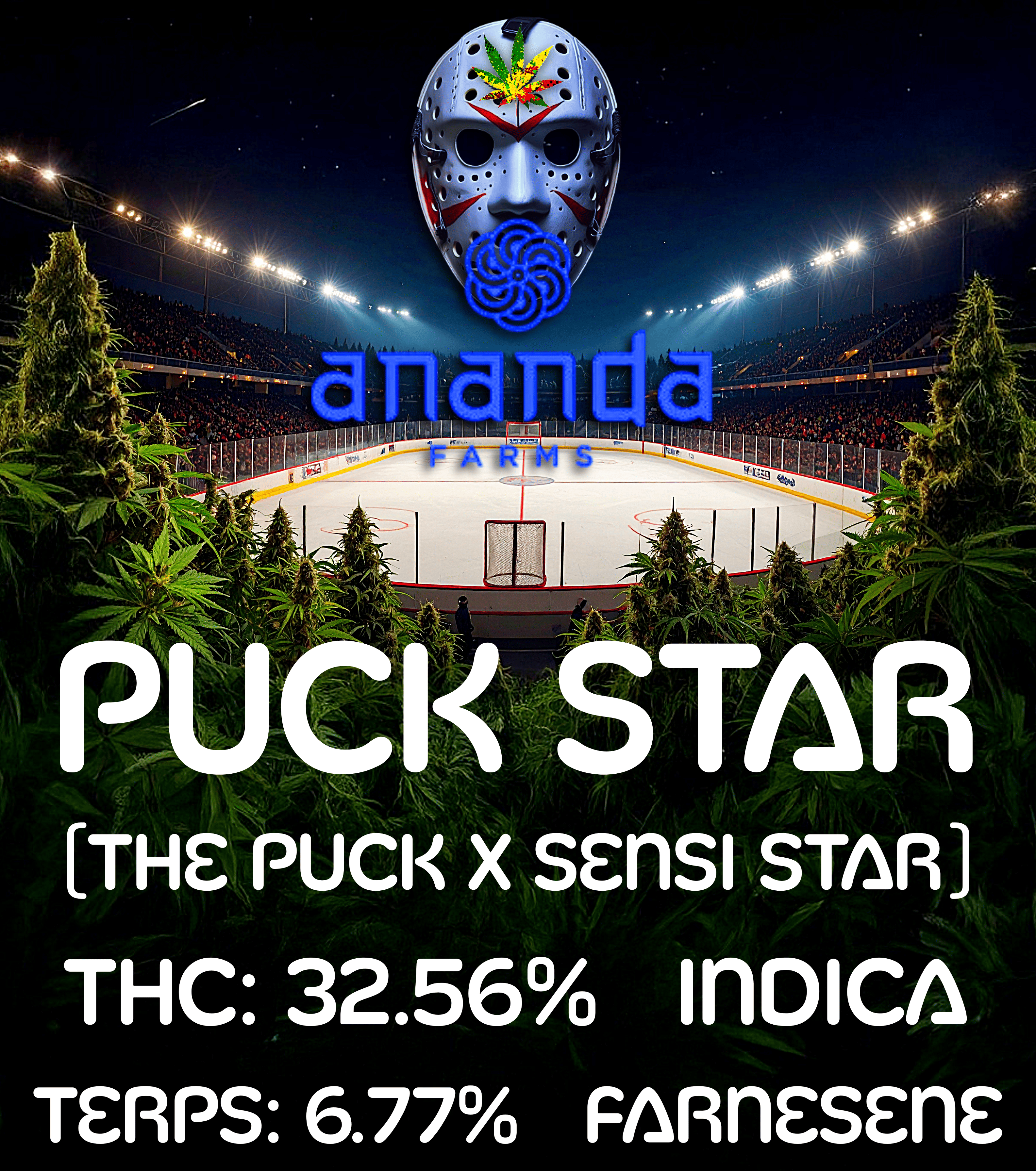 Photograph of product: Puck Star (Ananda Farms) - 28g