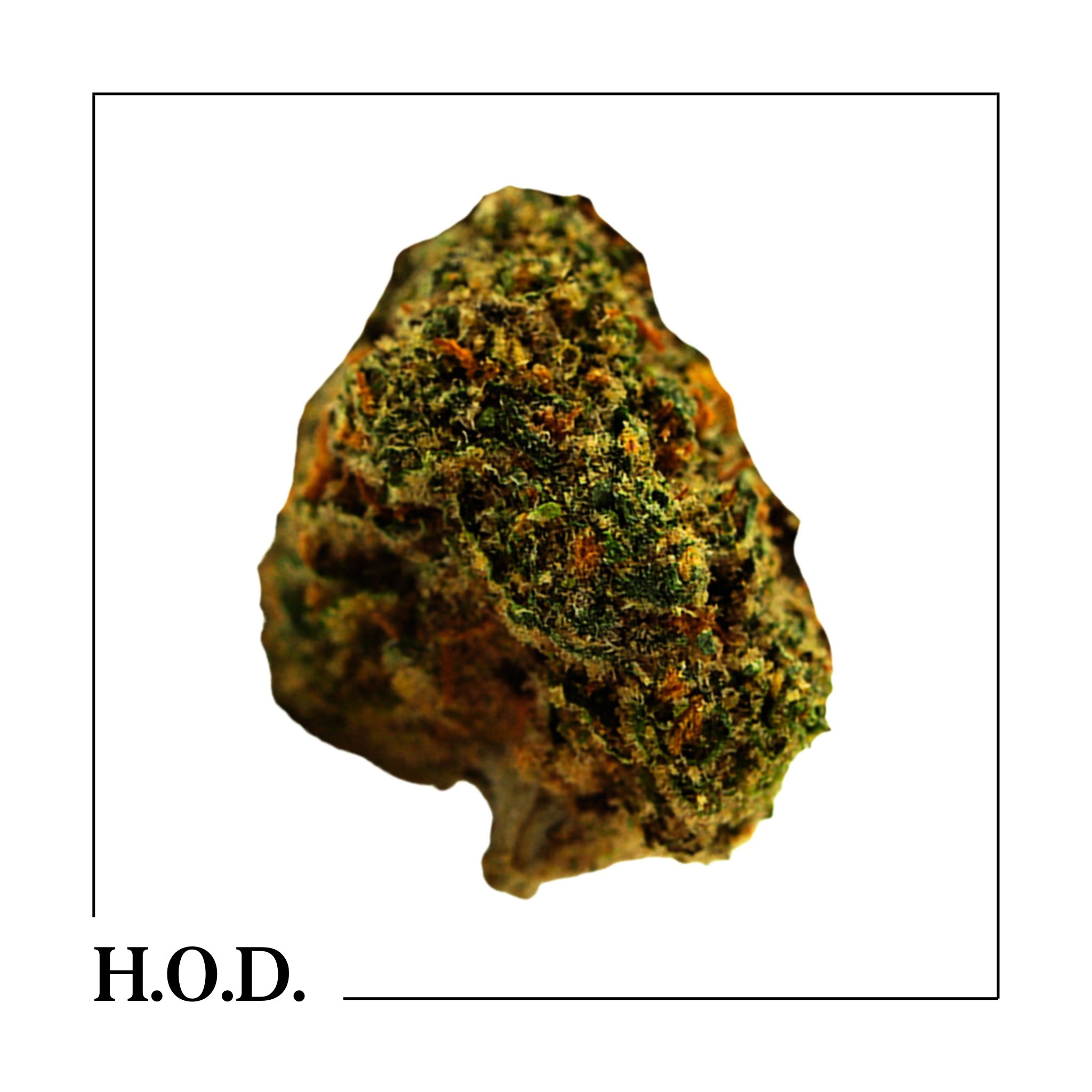 Photograph of product: Jealousy 28g