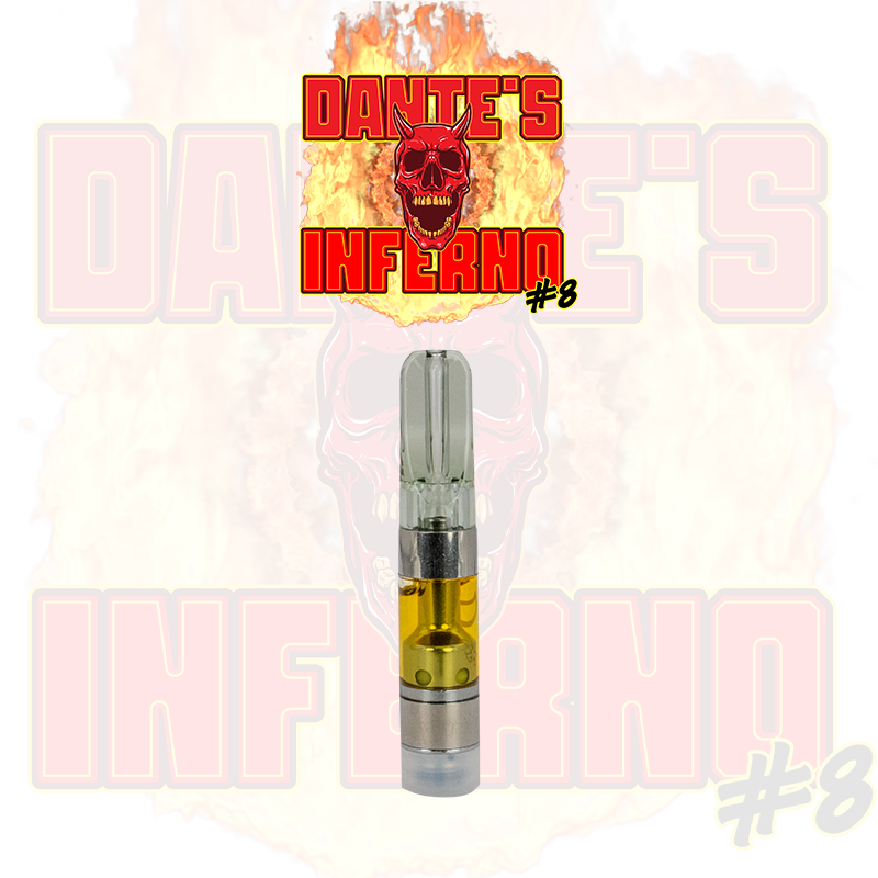 Photograph of product: Dante's Inferno #8