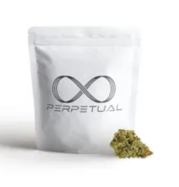 Photograph of product: Perpetual | Golddust #4 | Flower - 3.5g