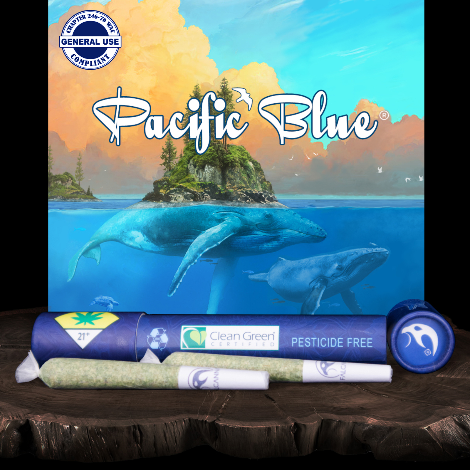 Photograph of product: Pacific Blue Pre-Roll 2-pack | 1.2g (DOH)