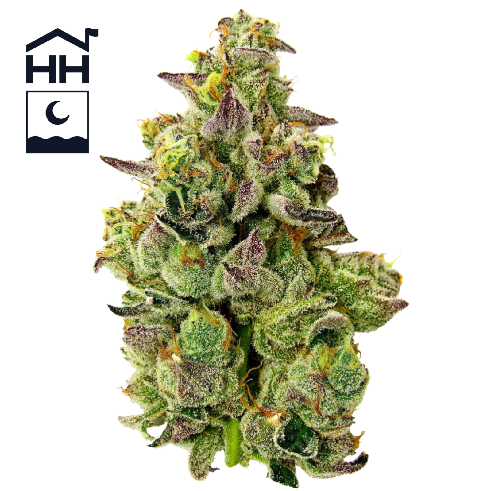 Photograph of product: 3.5 GMO - 3.5g