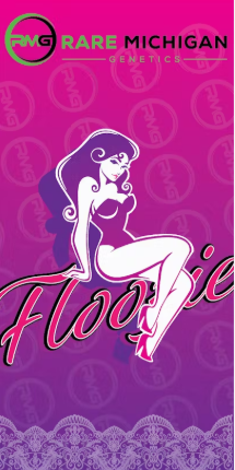 Photograph of product: Floozie | RMG | Pre-Roll Multi-Pack | 5g (10 x