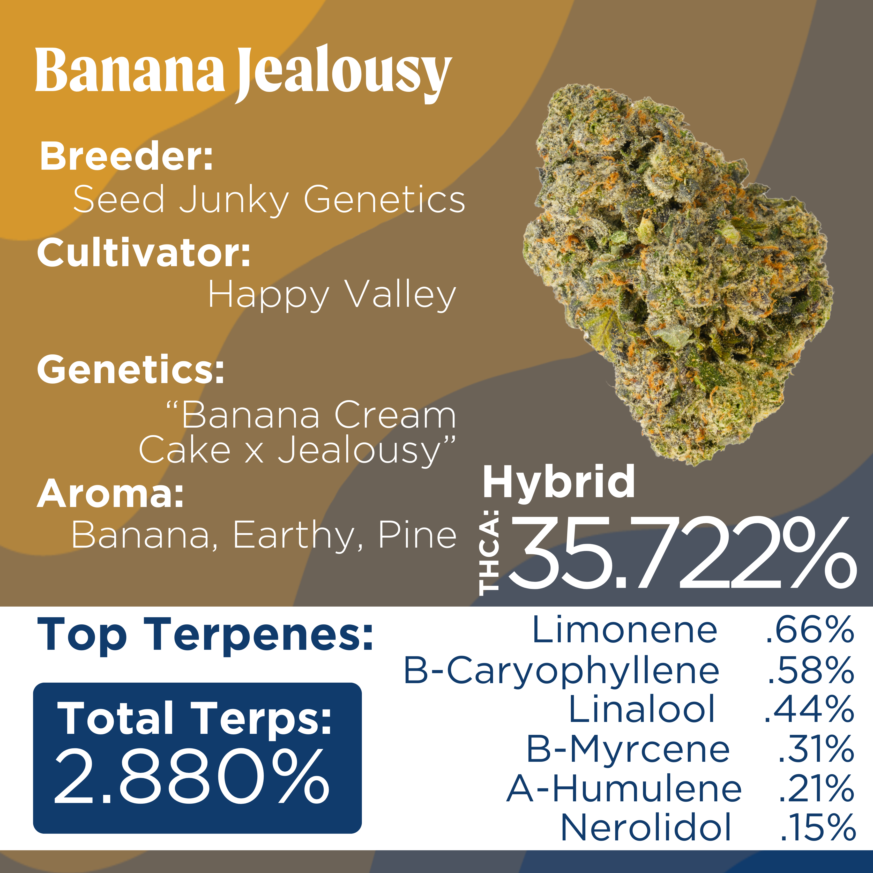 Photograph of product: Deli Style | Banana Jealousy - Hybrid - 1g