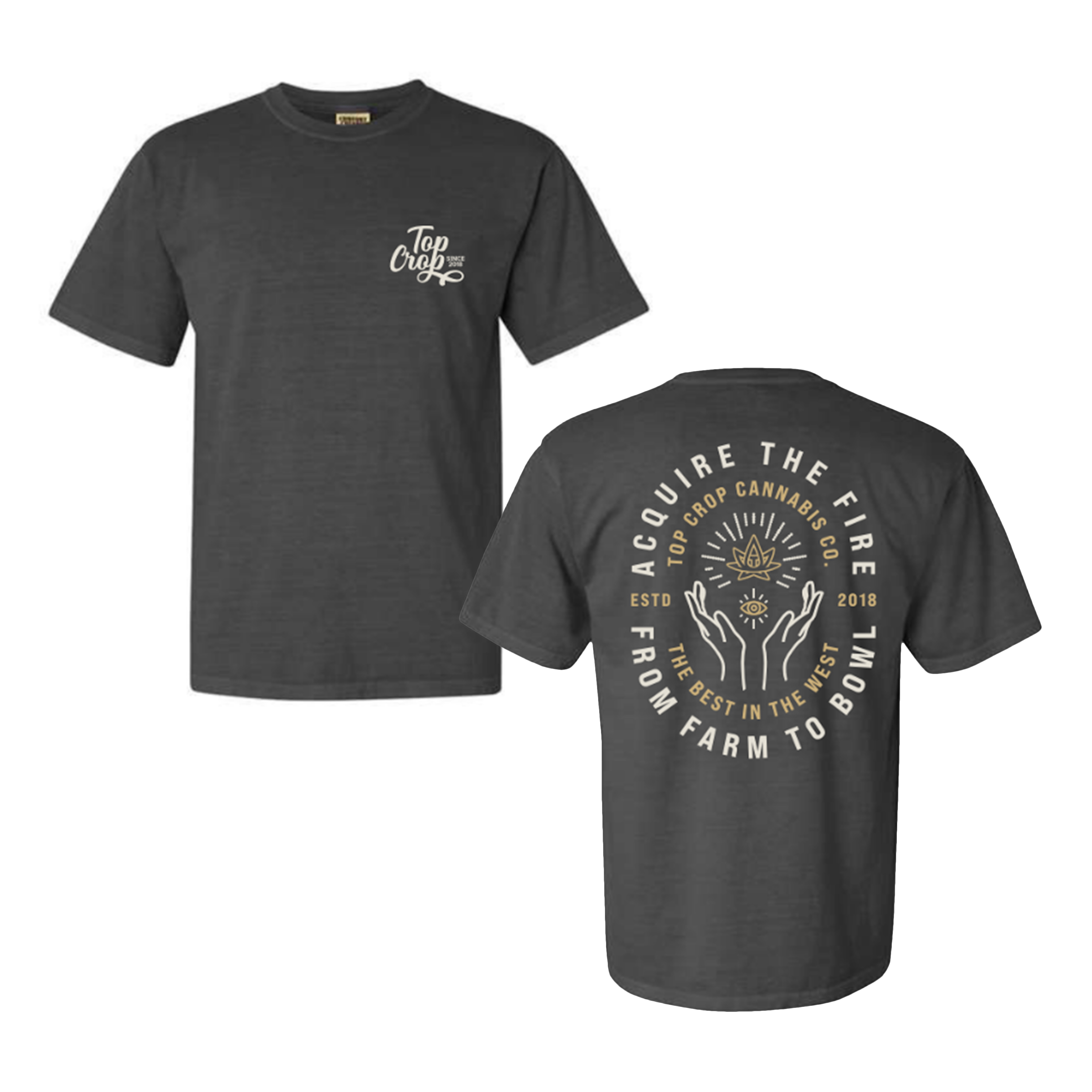 Photograph of product: Acquire the Fire T-Shirt - Gray XXL