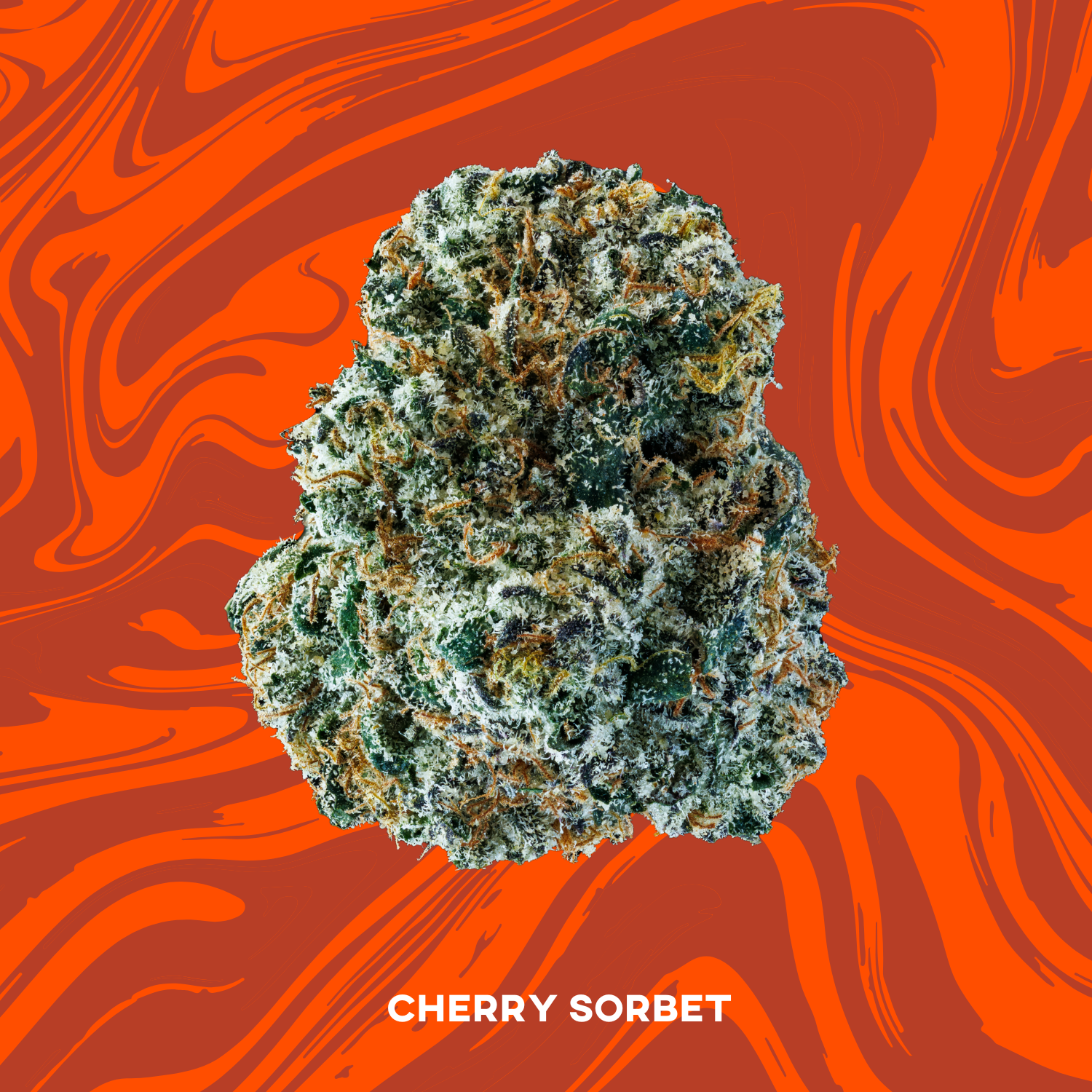 Photograph of product: Vivid - Cherry Sorbet - PrePack - 3.5g