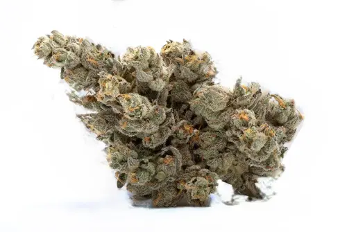 Photograph of product: APPLE ROCK CANDY